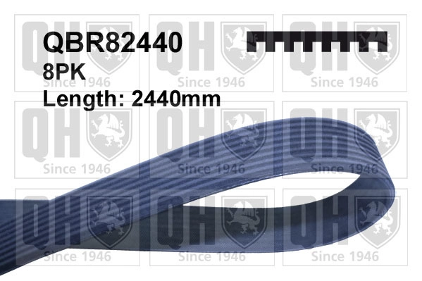QBR82440