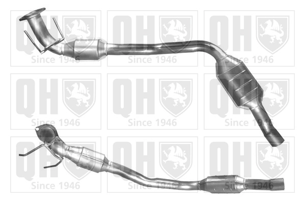 QCAT80196