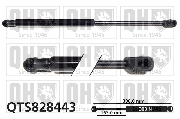 QTS828443