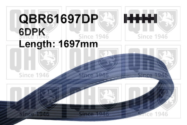 QBR61697DP