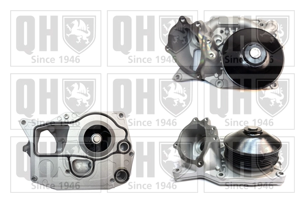 QCP3913