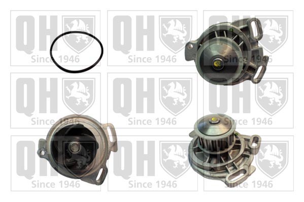 QCP1294