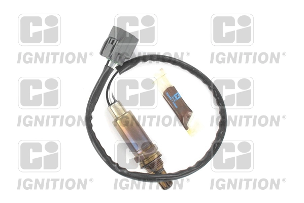 XLOS1125