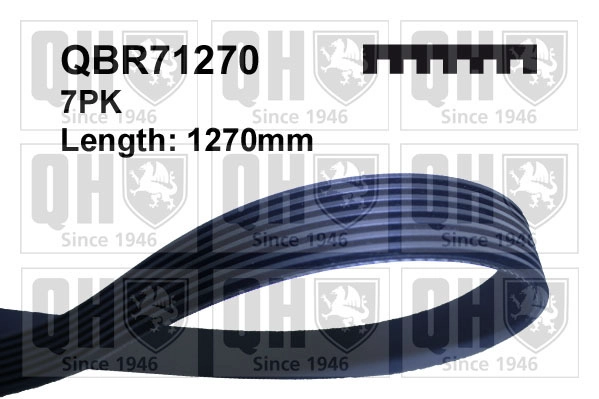 QBR71270