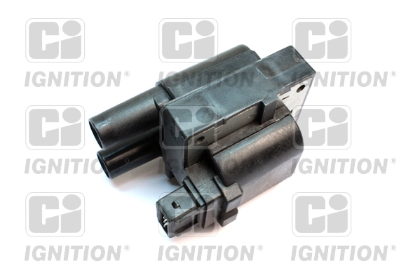 XIC8175