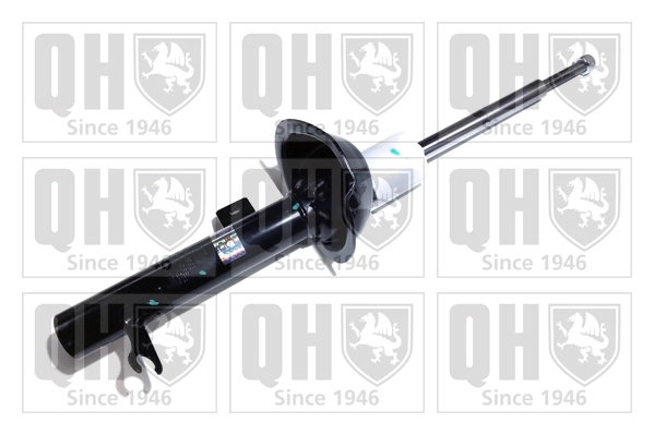 QAG178983