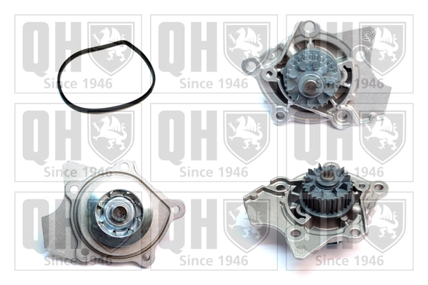 QCP3856