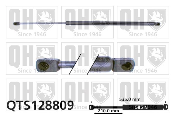 QTS128809