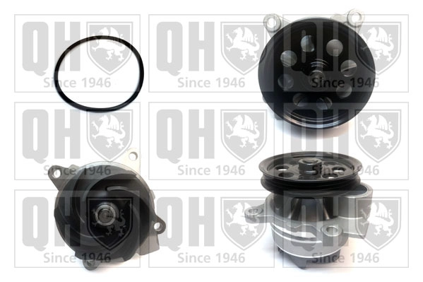 QCP3939