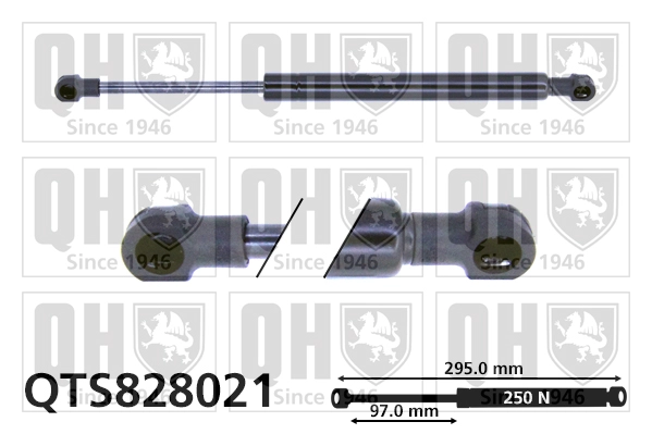 QTS828021