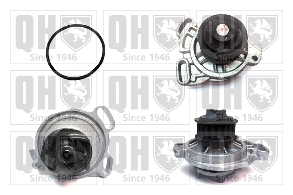 QCP2664