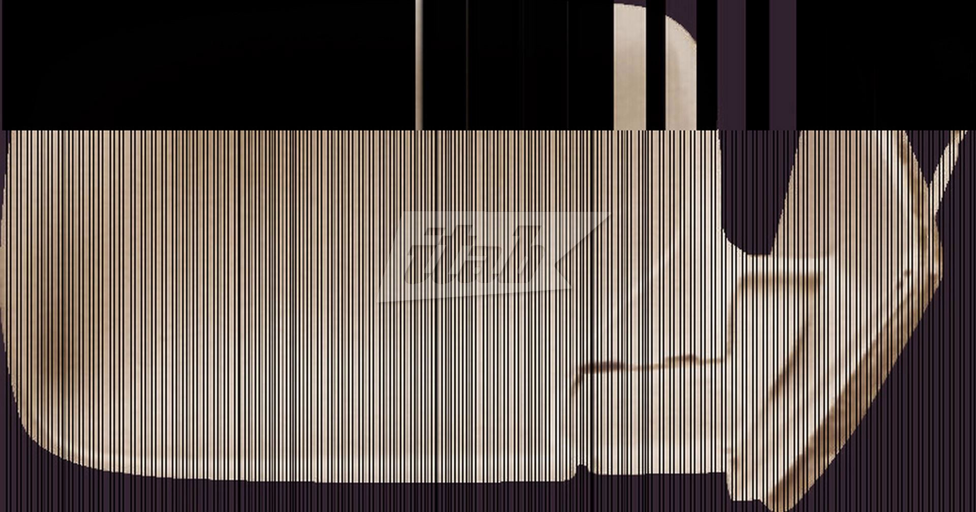 RTVR1303AV