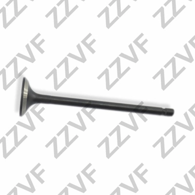 ZV619MN