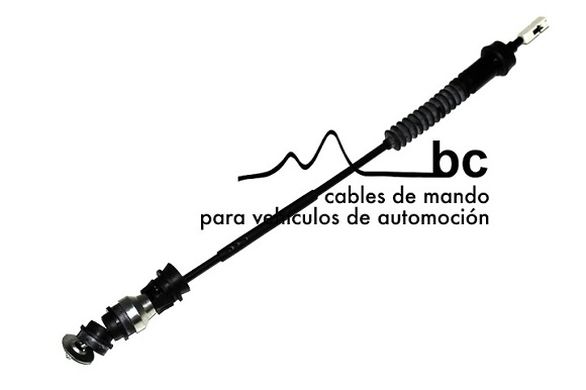 504029