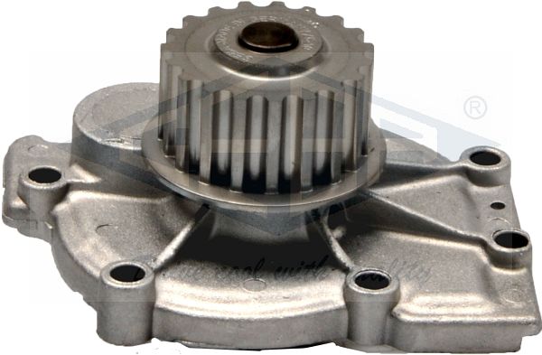 272954