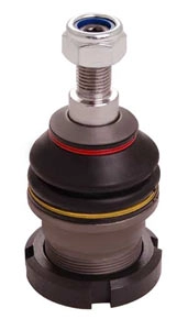 RS12256