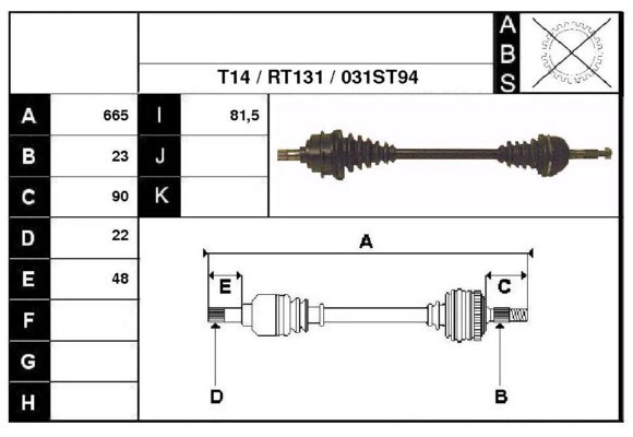 38031