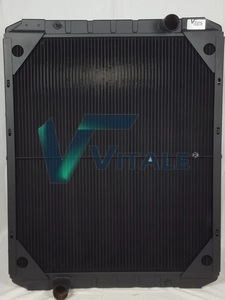 RVI730733