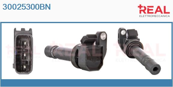 30025300BN