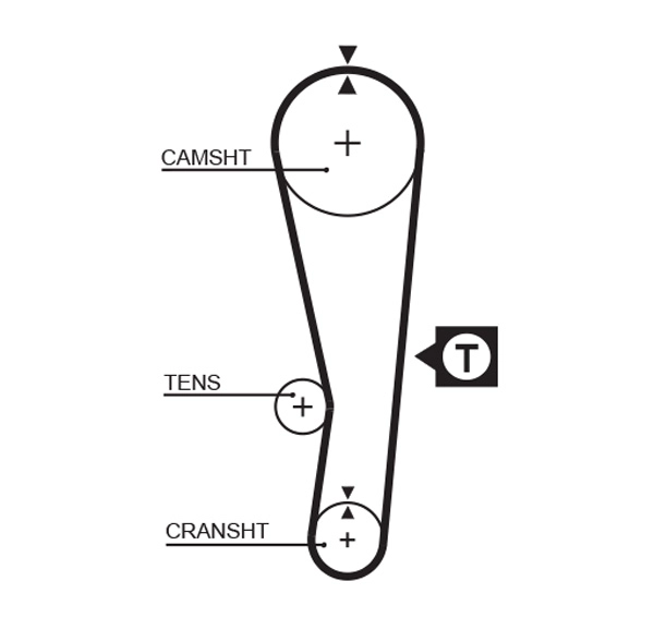 T095