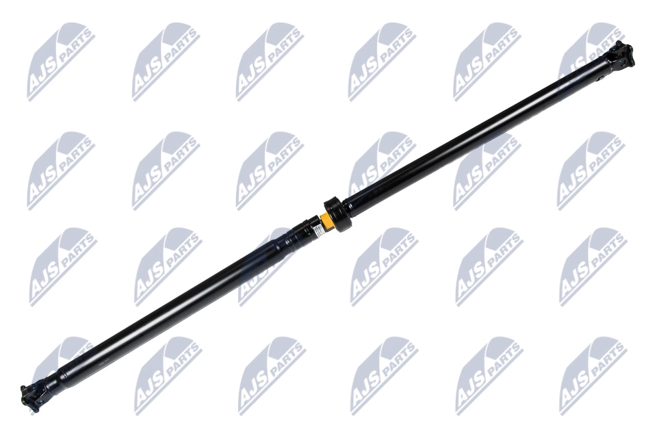 NWN-NS-013