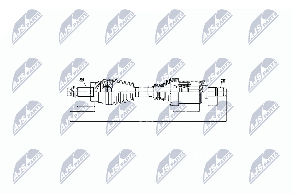 NPW-BM-015