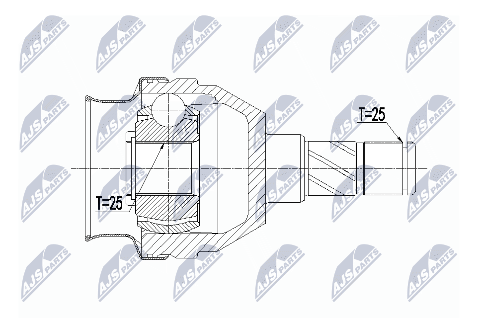 NPW-PL-066