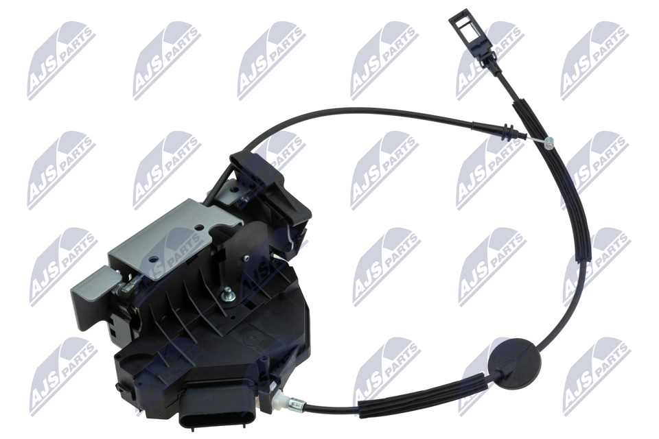 BK31-V219A64-CG