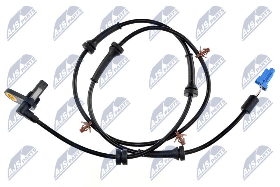 HCA-NS-065