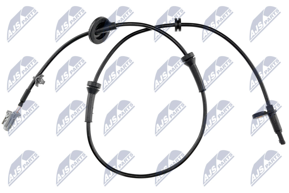 HCA-NS-019