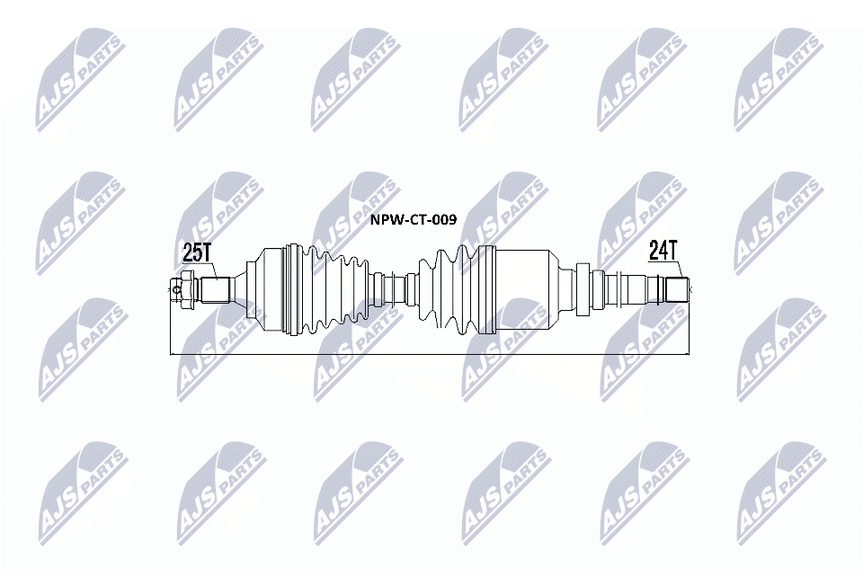 NPW-CT-009