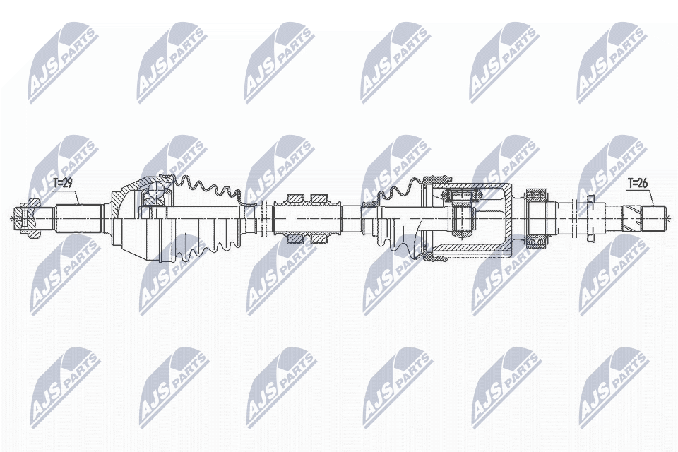 NPW-NS-096