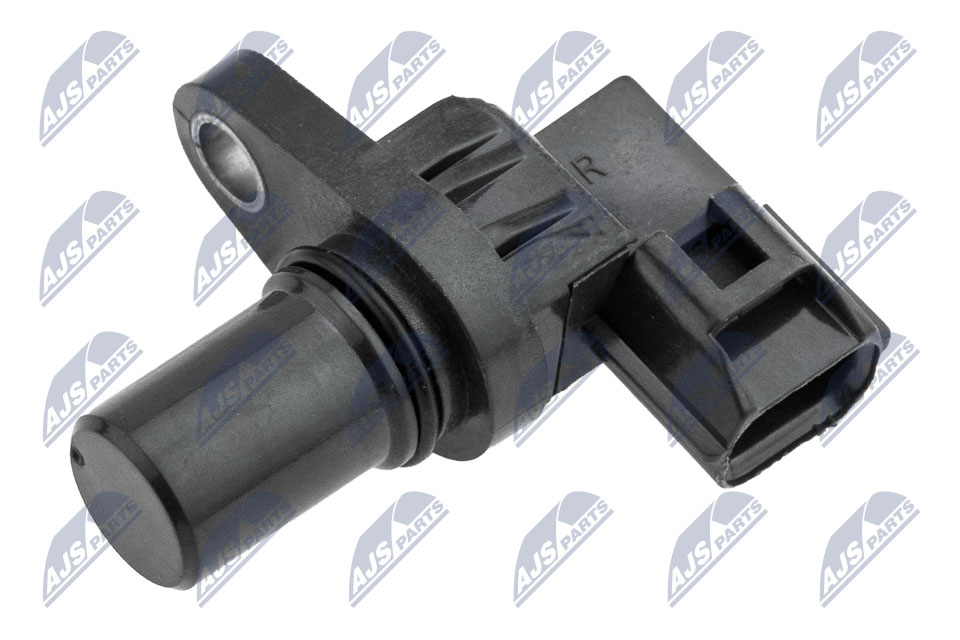 ECP-MS-012
