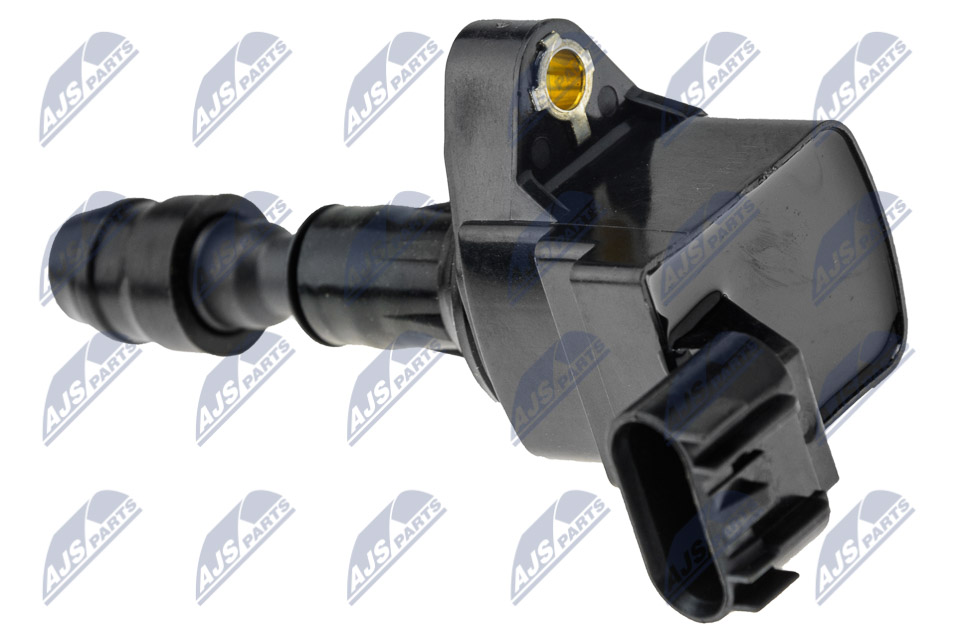 ECZ-PL-010