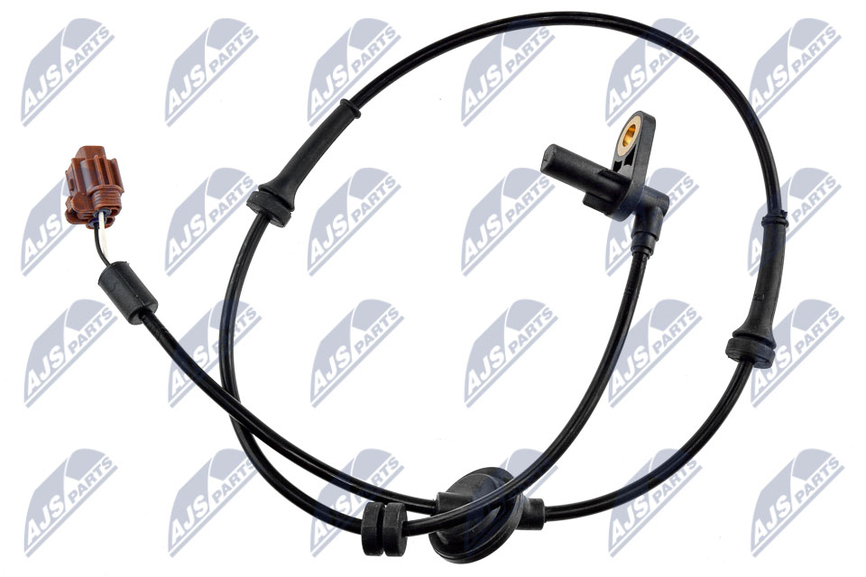 HCA-NS-081