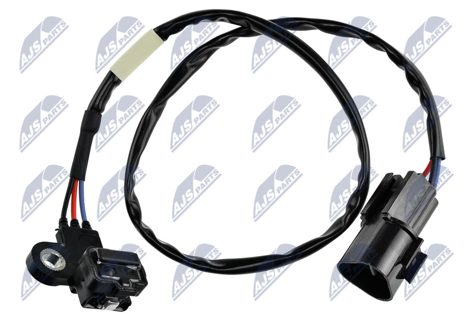 ECP-MS-001