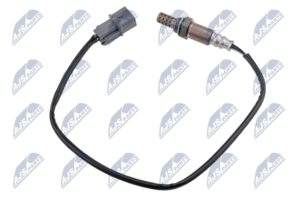 ESL-MS-016