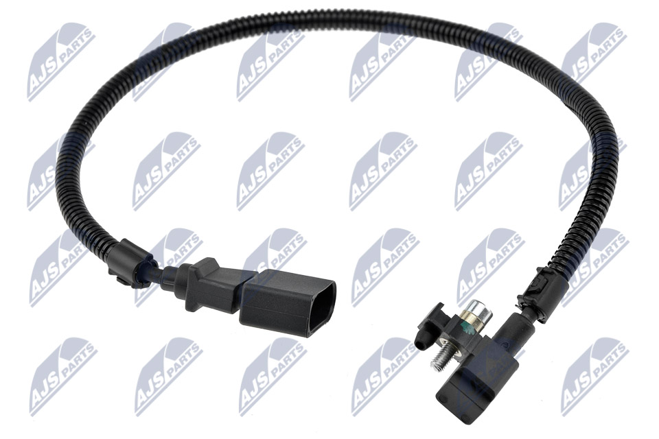ECP-AU-031