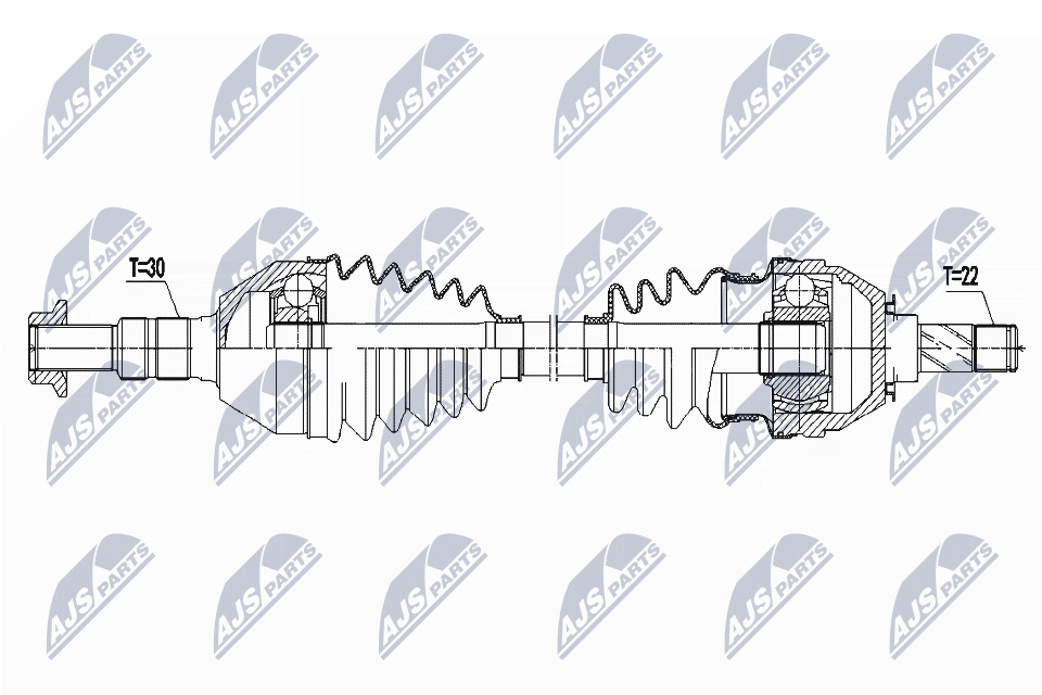 NPW-PL-081