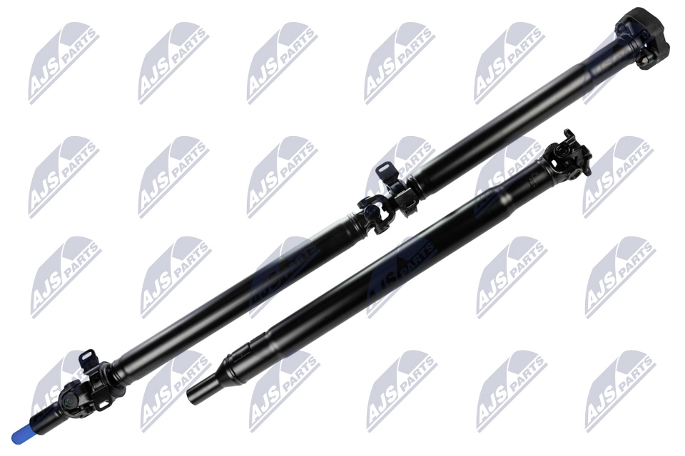 NWN-FR-011