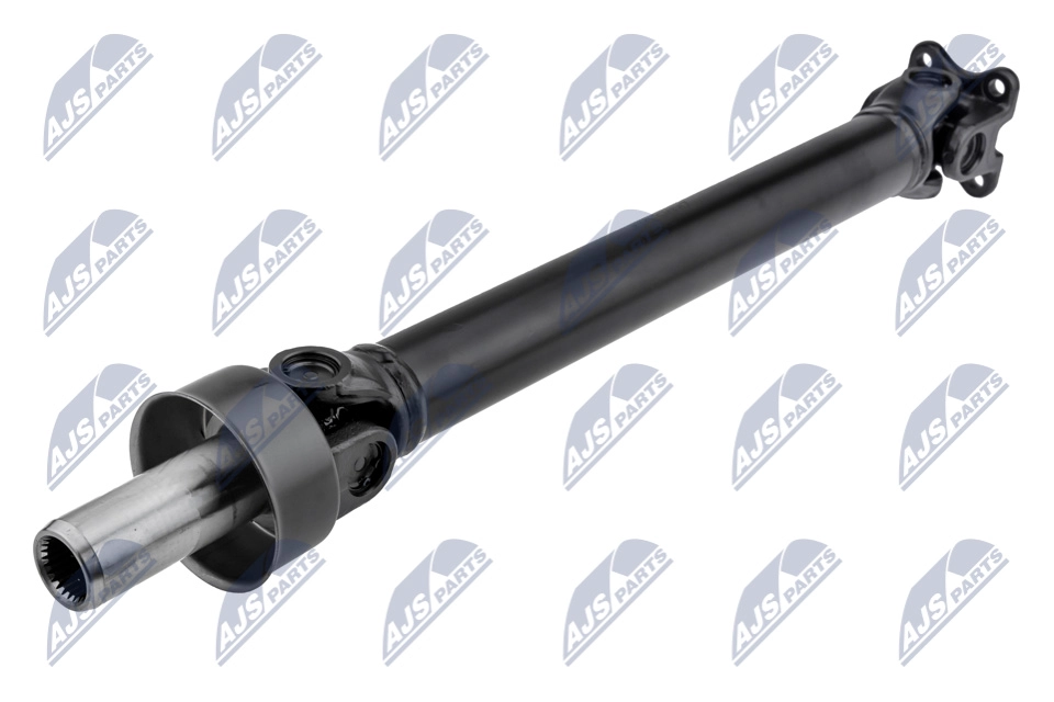 NWN-MS-012