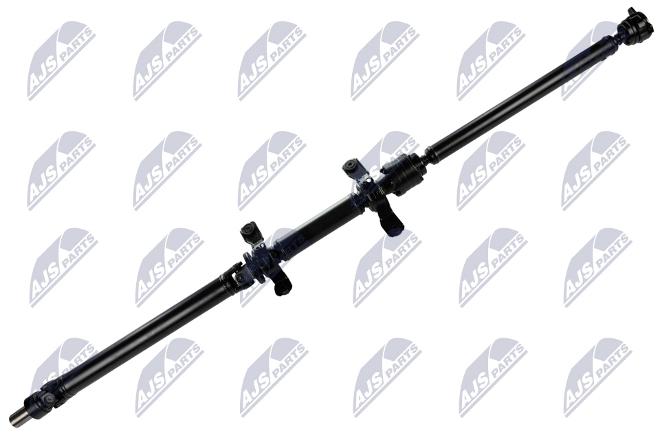 NWN-MS-016