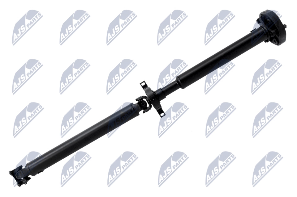 NWN-BM-009