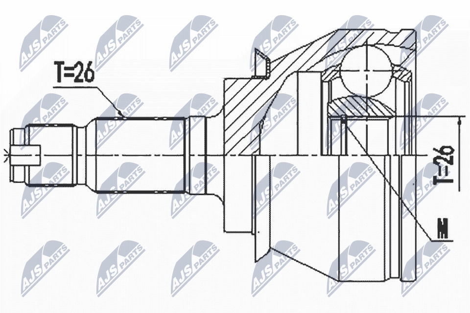 NPZ-BM-020