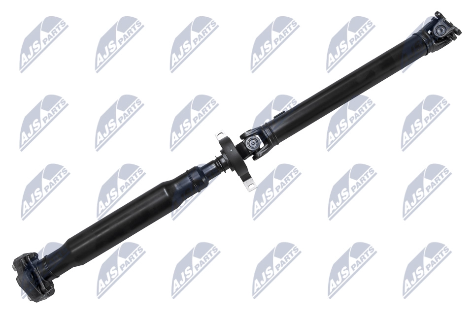 NWN-BM-031