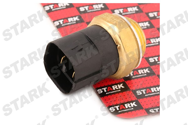 SKTS-2100017