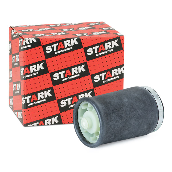 SKASS-1850008