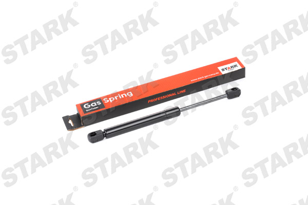 SKGS-0220572