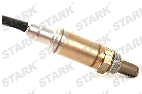 SKLS-0140613