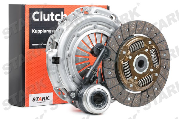 SKCK-0100273